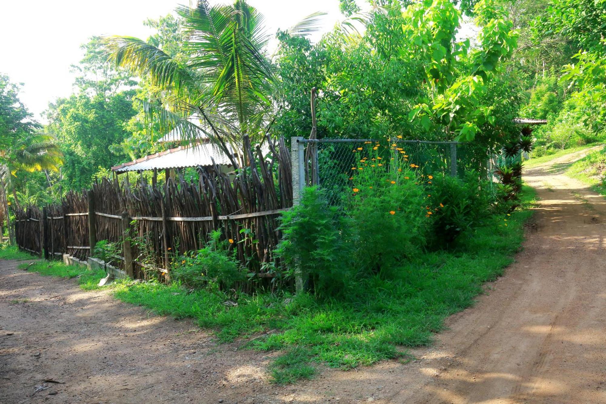 Hiriketiya Don Simon Villa Dickwella Exterior foto